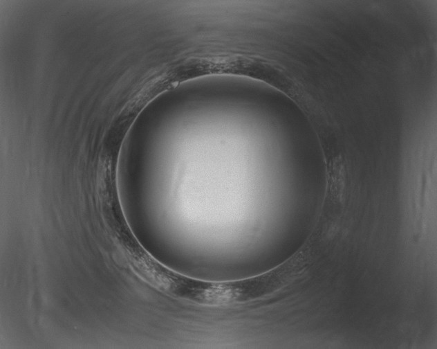 X0000085810225200703161204