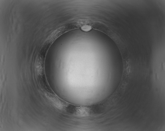 X0000085810226200703161204