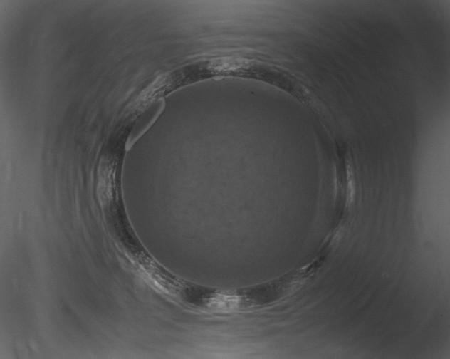 X0000085810227200703161204