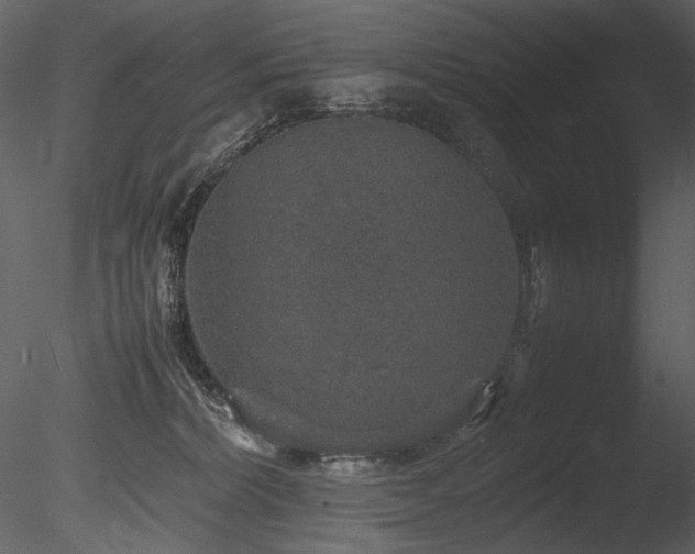 X0000085810228200703161204