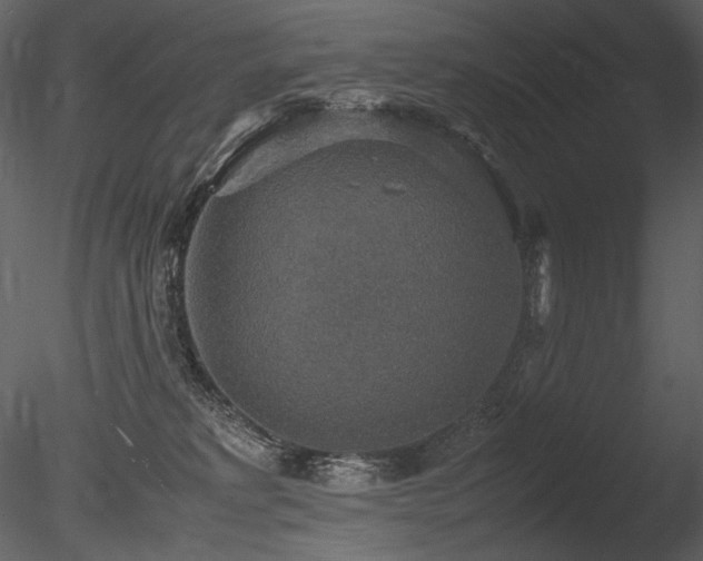 X0000085810229200703161204