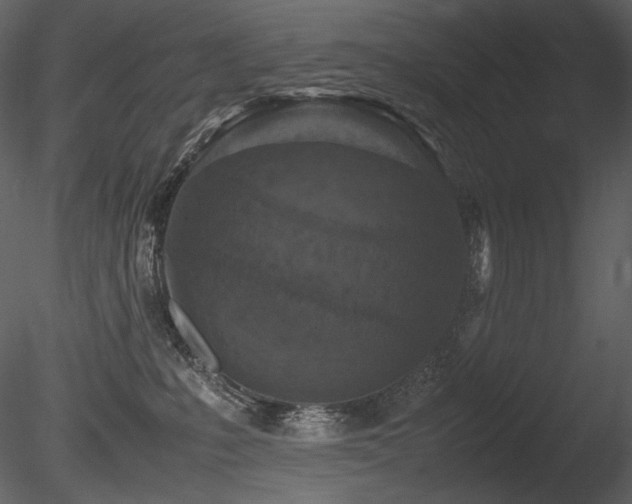 X0000085810231200703161204