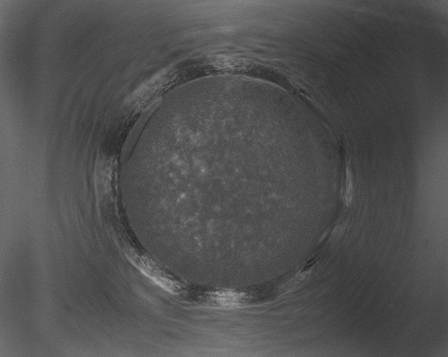 X0000085810233200703161204