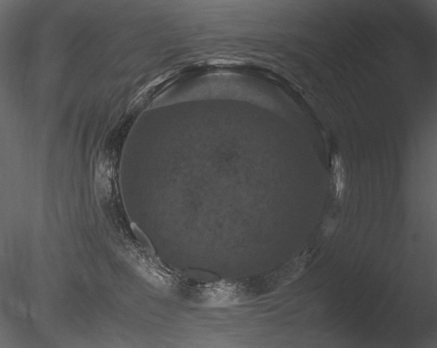 X0000085810235200703161204