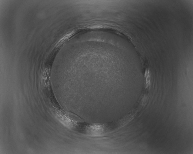 X0000085810237200703161204