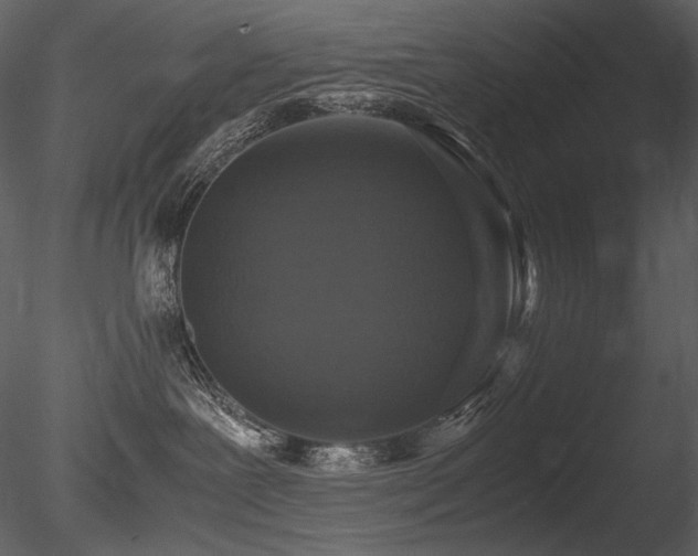 X0000085810239200703161204