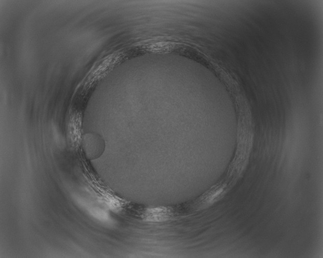 X0000085810240200703161204