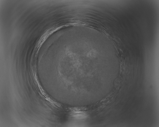 X0000085810241200703161203