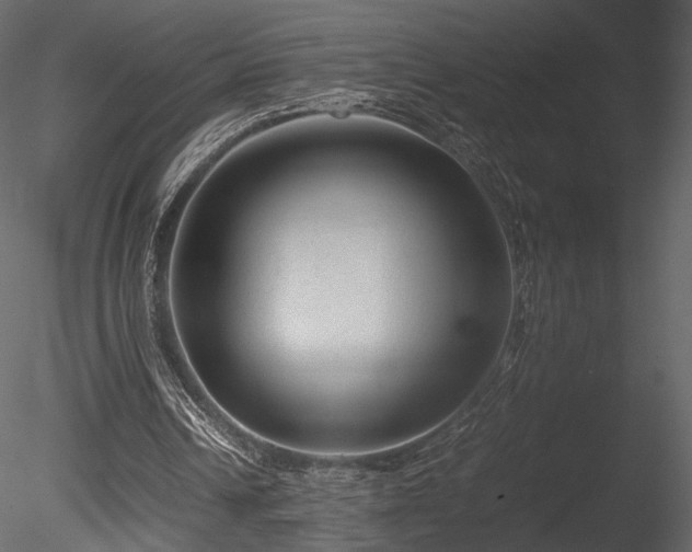 X0000085810242200703161203