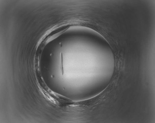 X0000085810244200703161203