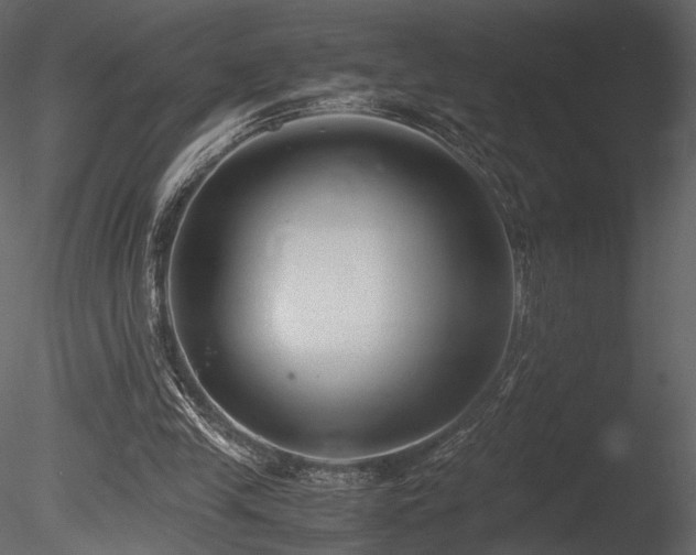 X0000085810245200703161203