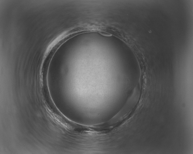 X0000085810246200703161203