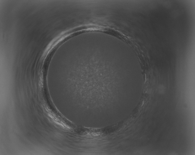 X0000085810247200703161203