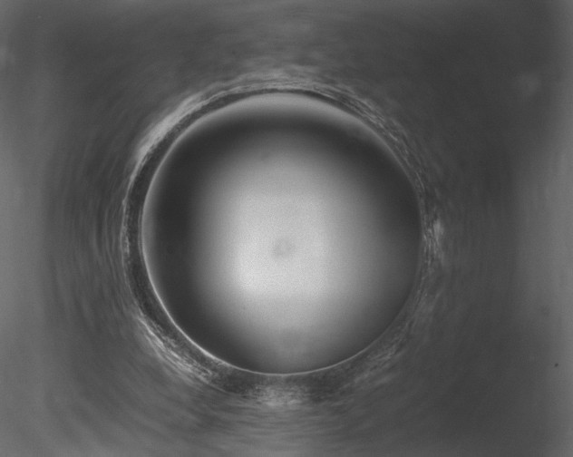 X0000085810248200703161203