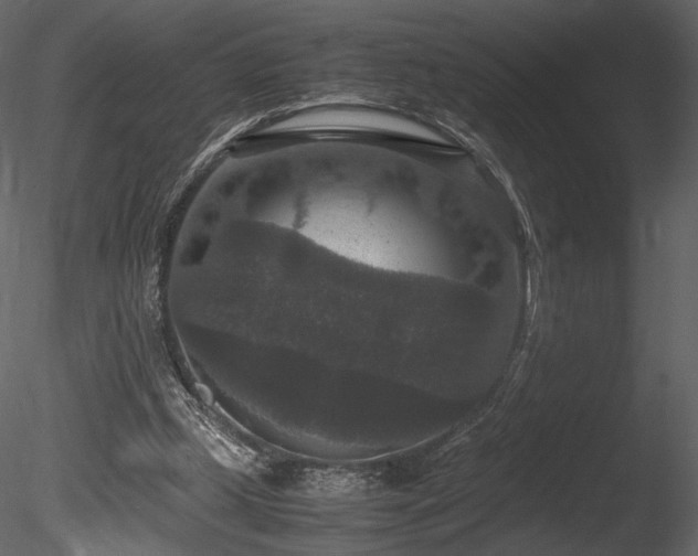 X0000085810249200703161203