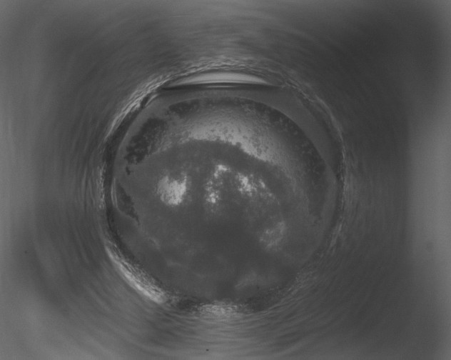 X0000085810250200703161203