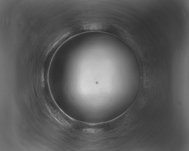 X0000085810251200703161203