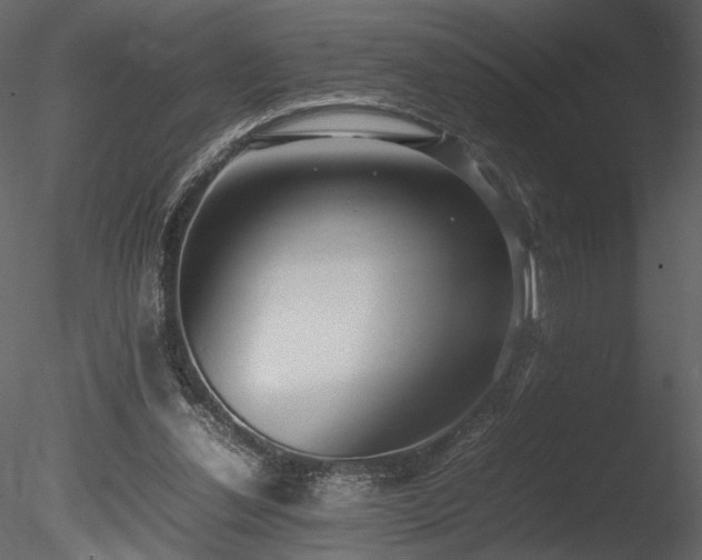 X0000085810252200703161203