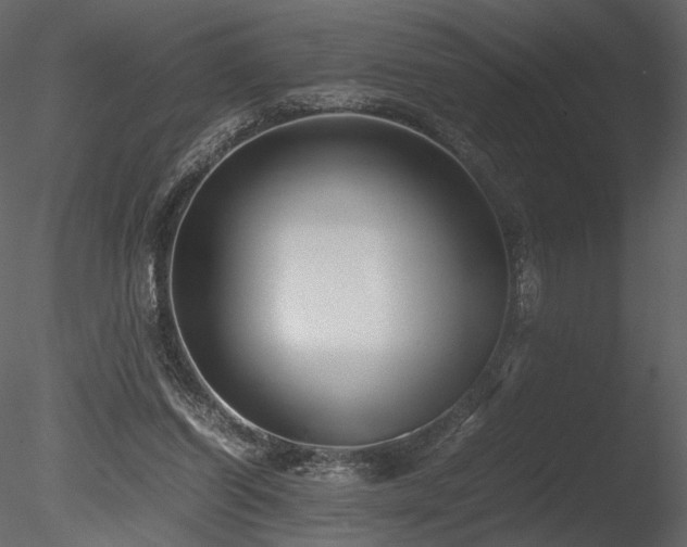 X0000085810254200703161203