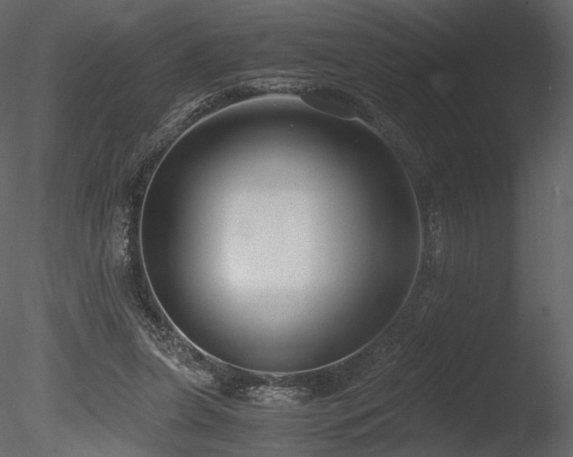 X0000085810255200703161203