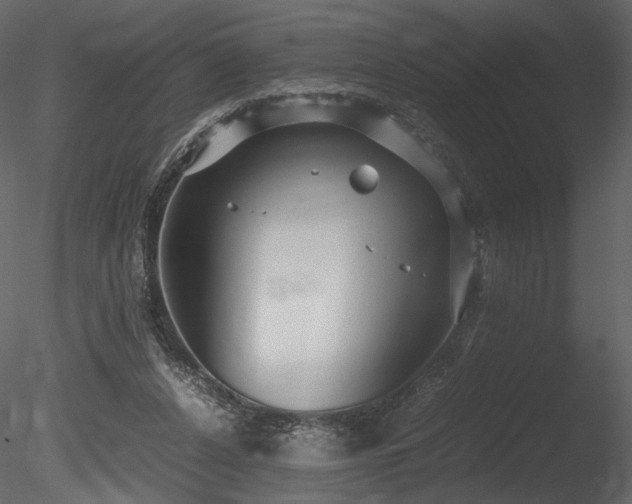 X0000085810256200703161203