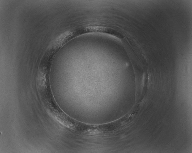 X0000085810259200703161203