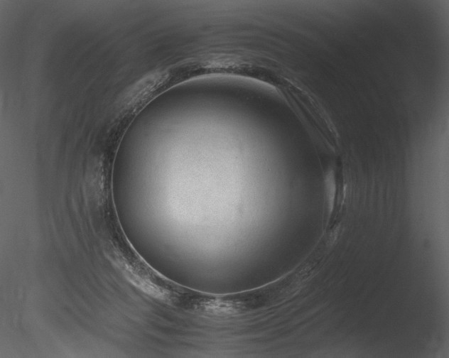 X0000085810261200703161203