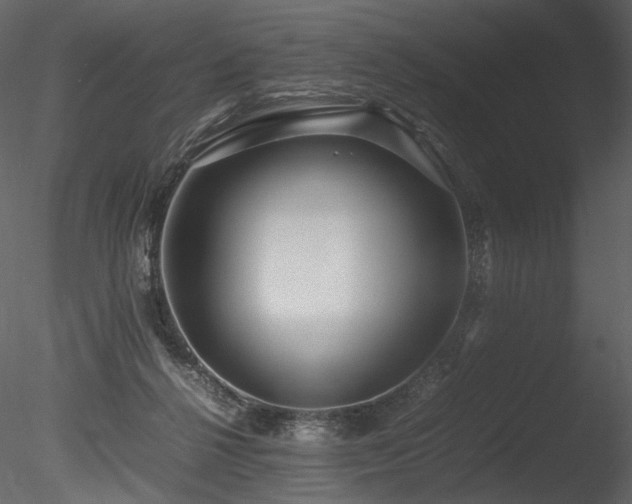 X0000085810264200703161203