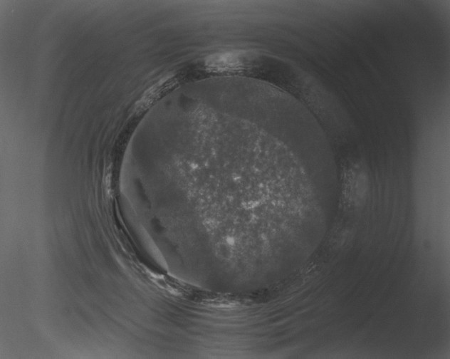 X0000085810267200703161203