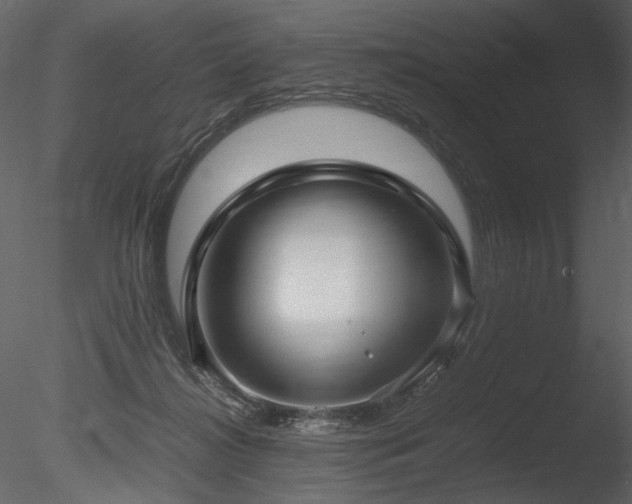 X0000085810268200703161204