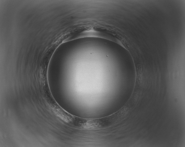 X0000085810270200703161204