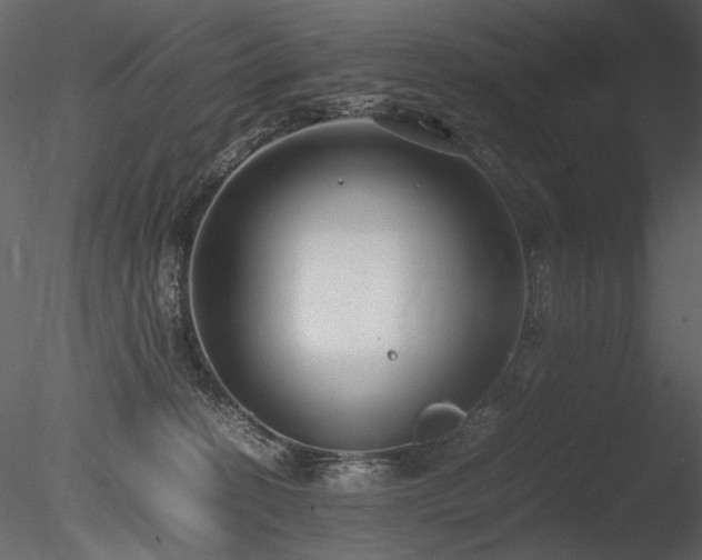 X0000085810274200703161204