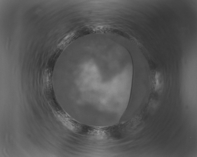 X0000085810276200703161204