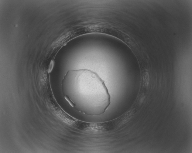 X0000085810278200703161204