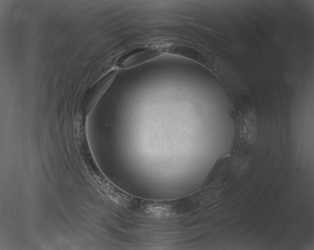 X0000085810283200703161204