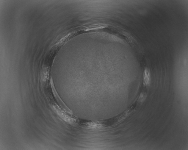 X0000085810284200703161204