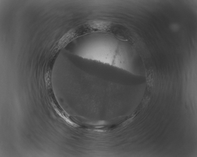 X0000085810285200703161204