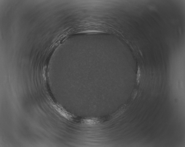 X0000085810286200703161204