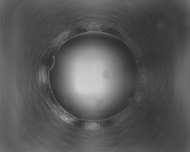 X0000085810287200703161204