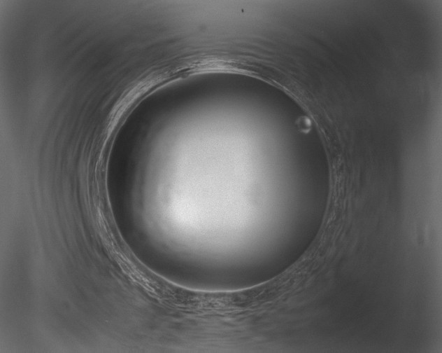 X0000085810289200703161203