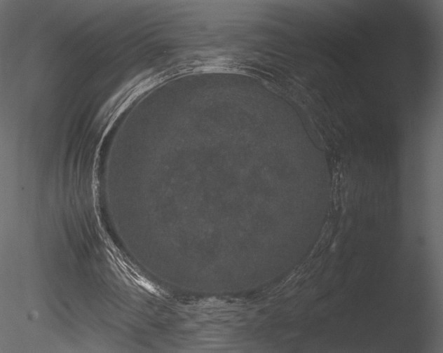 X0000085810290200703161203