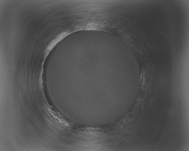 X0000085810292200703161203