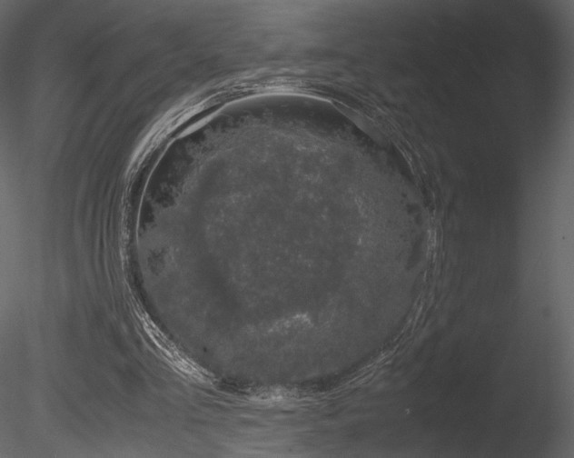 X0000085810293200703161203