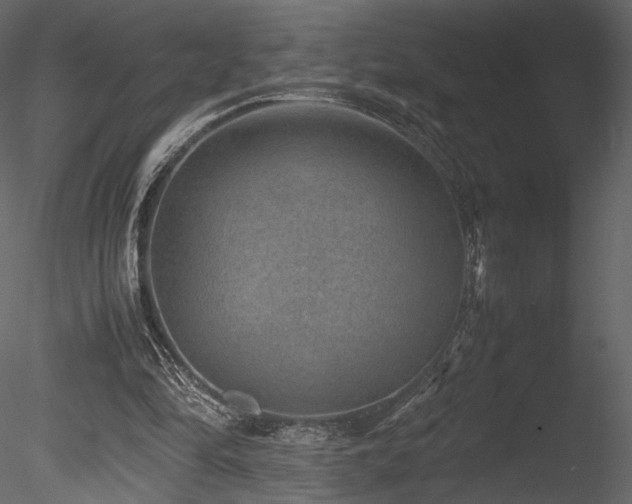 X0000085810294200703161203