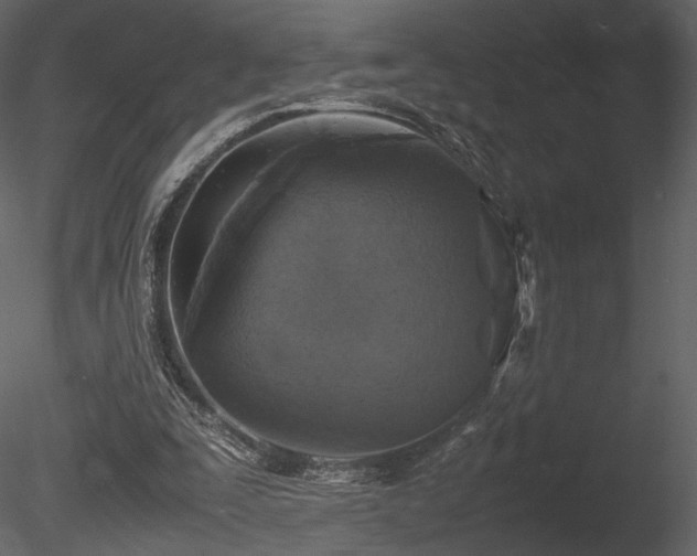 X0000085810295200703161203