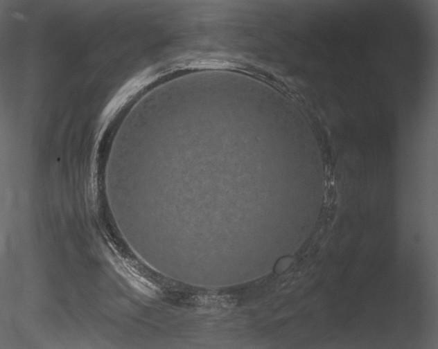 X0000085810296200703161203