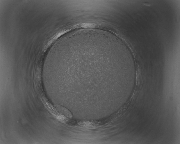 X0000085810297200703161203