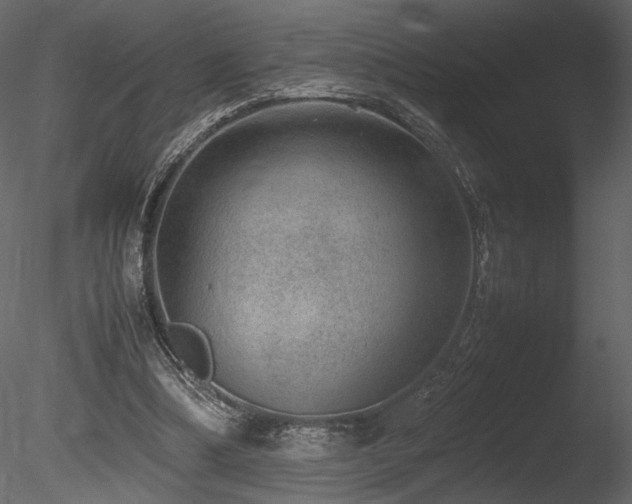 X0000085810298200703161203