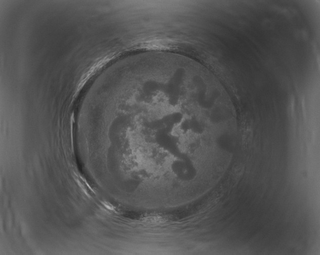 X0000085810299200703161203