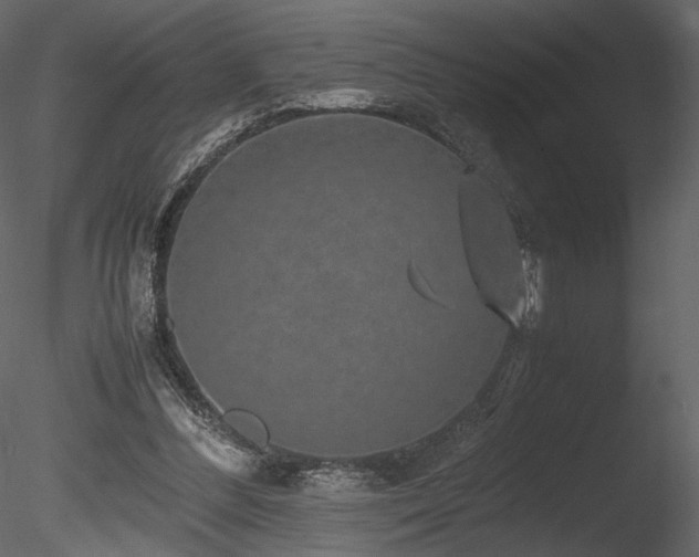 X0000085810300200703161203